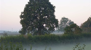 Misty morning view from Belview Self Catering Cottage Dorset